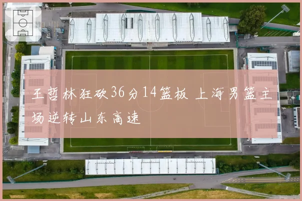 王哲林狂砍36分14篮板 上海男篮主场逆转山东高速
